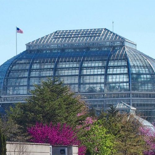 Washington DC - Conservatory Botanical Gardens