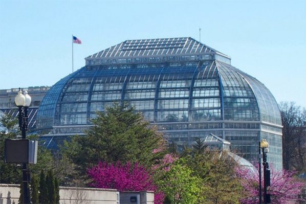 Washington DC - Conservatory Botanical Gardens