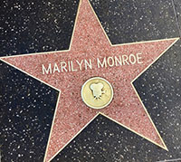 Marilyn Monroe Hollywood Star